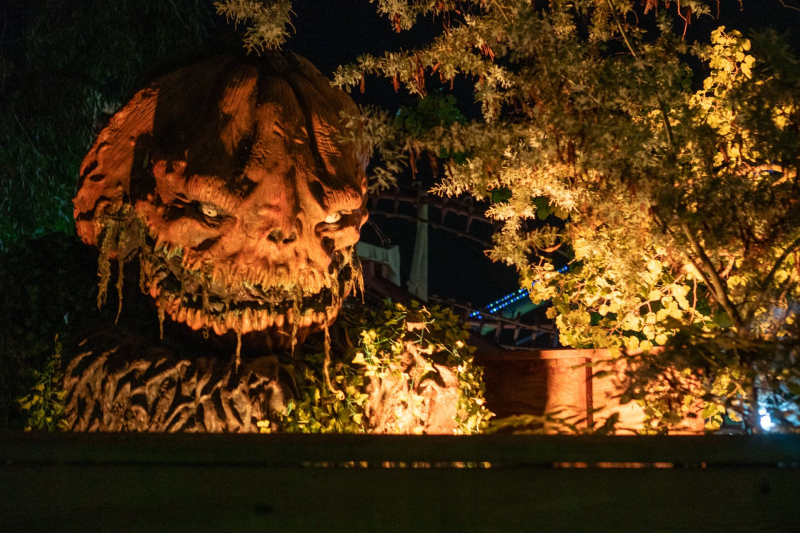 Six Flags Discovery Kingdom