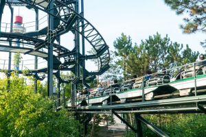 Whizzer