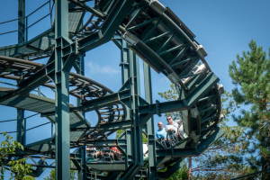 Whizzer