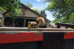 New Texas Giant • RMC Ibox Track