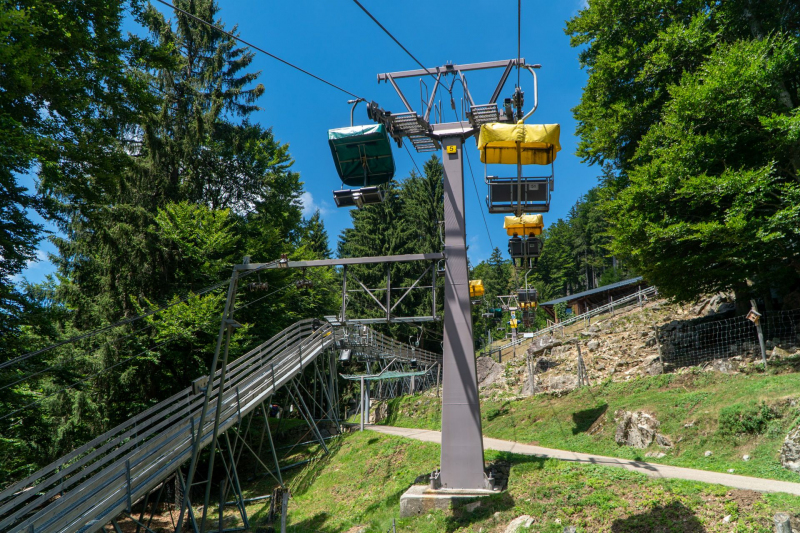 Alpine Coaster