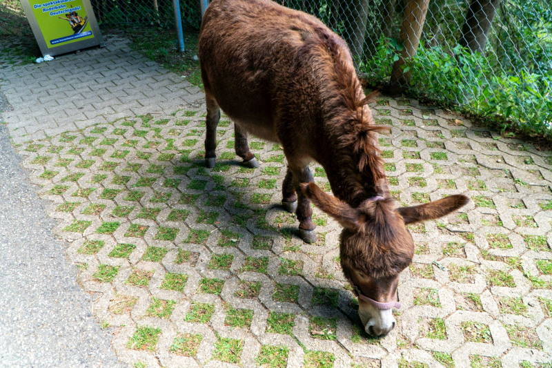 Tierpark