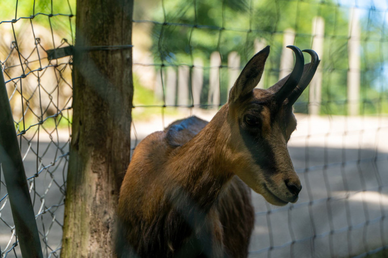 Tierpark