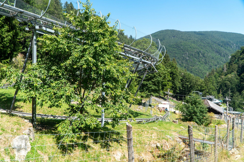 Alpine Coaster