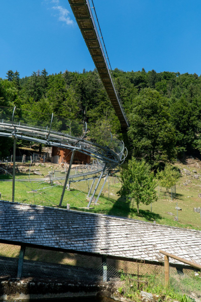 Alpine Coaster