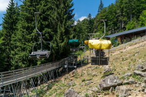 Alpine Coaster