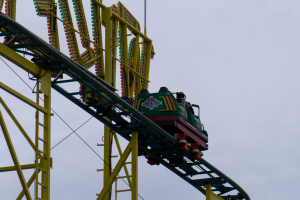 Wilde Maus (Kinzler)