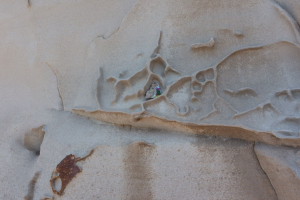 sculpture by the sea