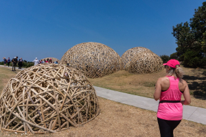 sculpture by the sea