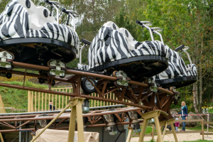 African Spin • SBF Visa Spinning Coaster
