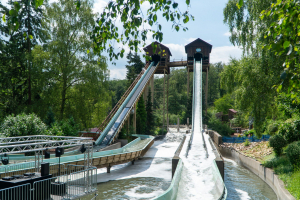 Traubenrutsche