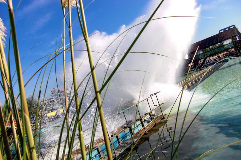 Tidal Wave