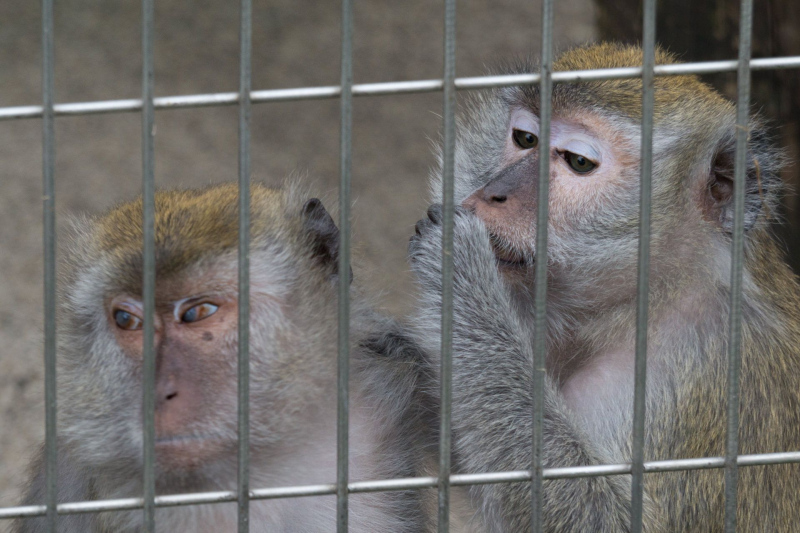 Tobu Zoo Park