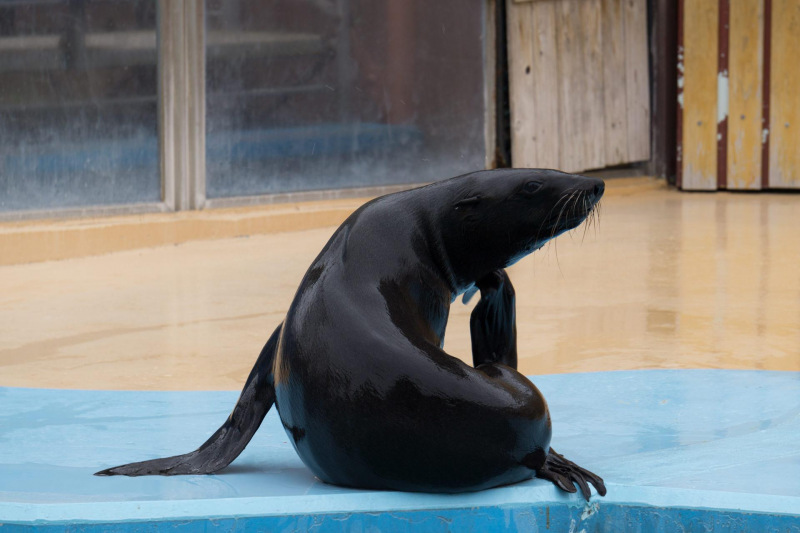 Tobu Zoo Park