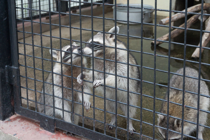 Tobu Zoo Park