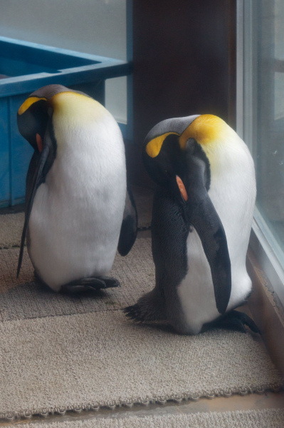 Tobu Zoo Park