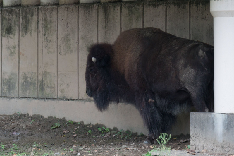 Tobu Zoo Park