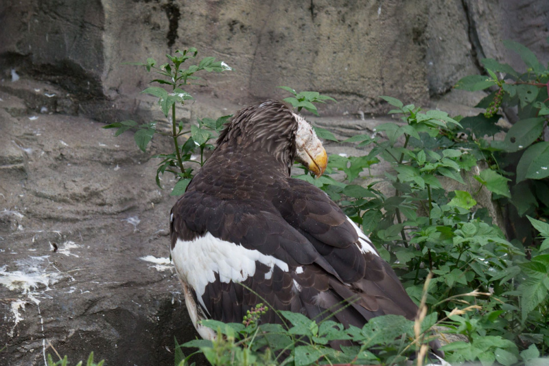 Tobu Zoo Park