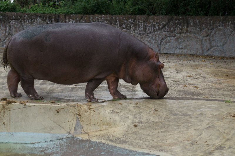 Tobu Zoo Park