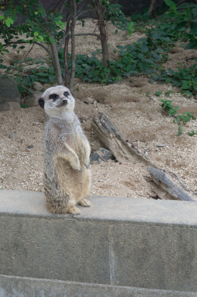 Tobu Zoo Park