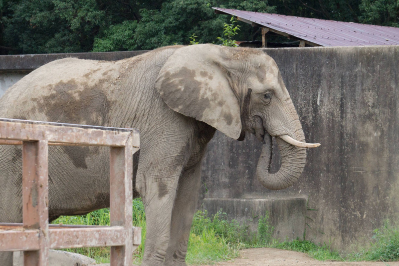 Tobu Zoo Park