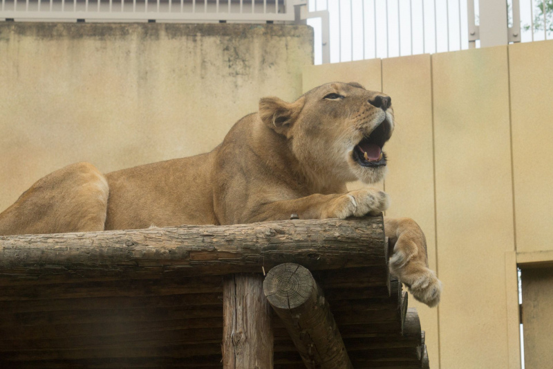 Tobu Zoo Park