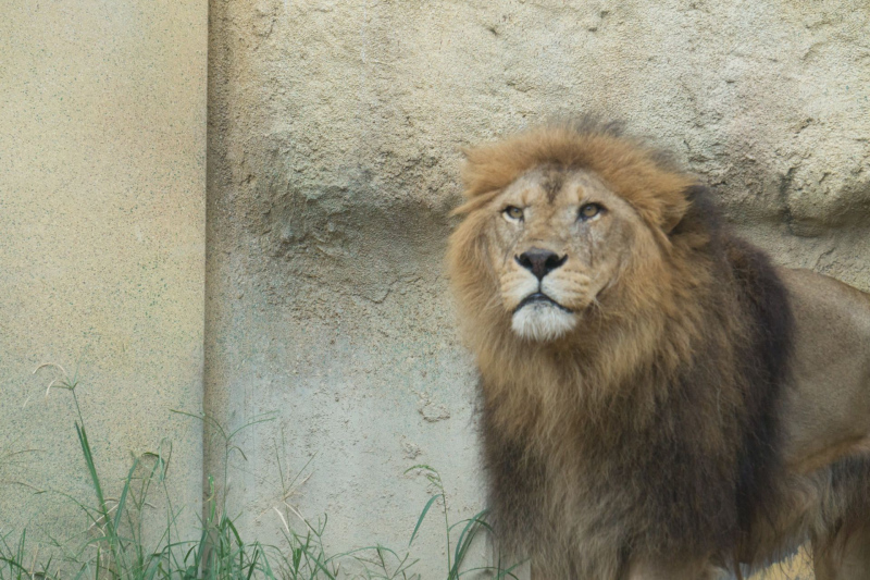 Tobu Zoo Park
