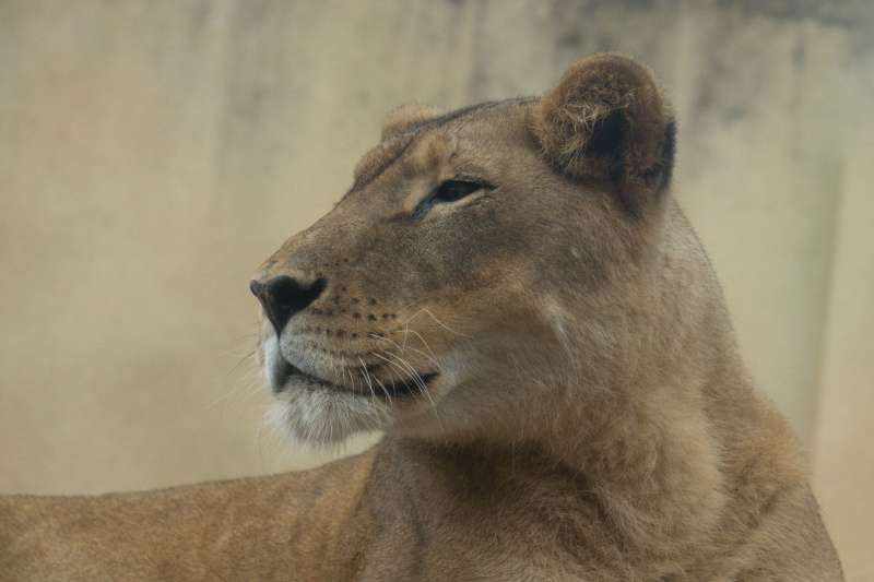 Tobu Zoo Park
