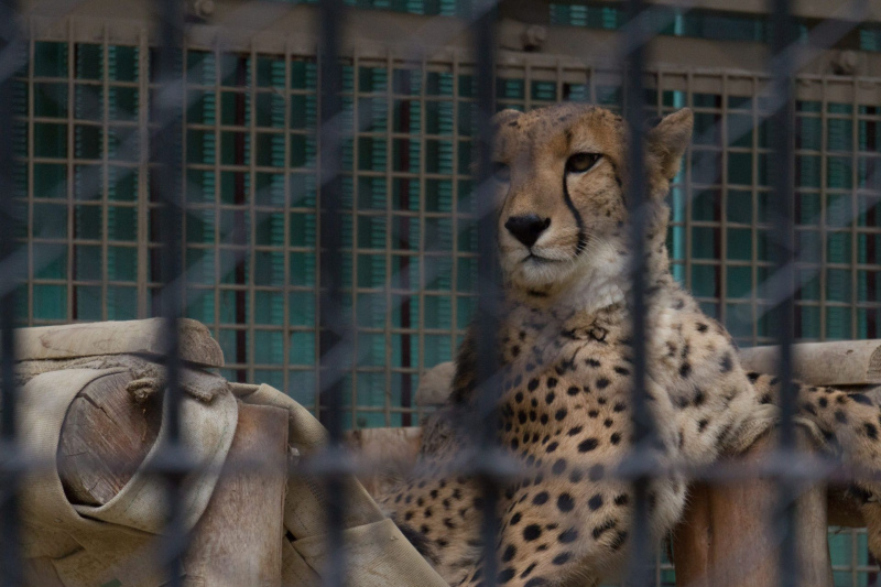 Tobu Zoo Park
