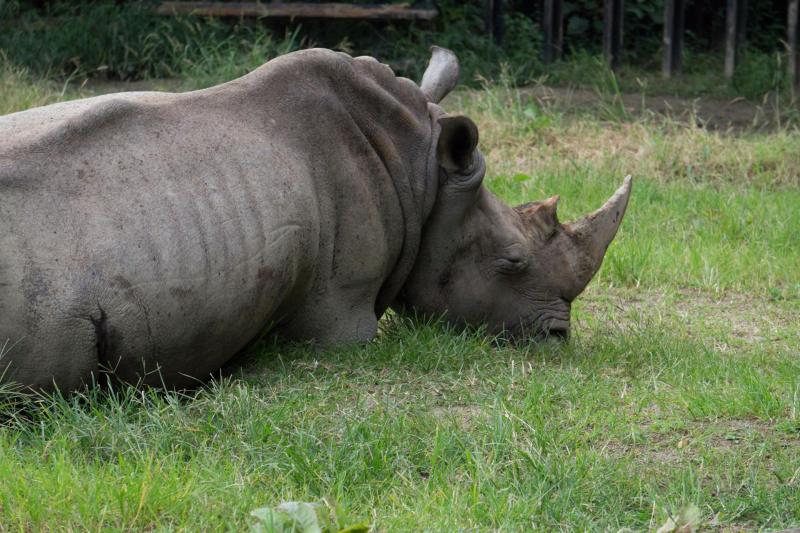 Tobu Zoo Park