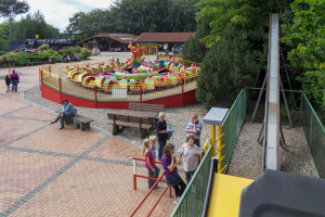 Butterfly • Heege Butterfly