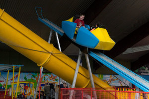 Boomerang • Heege Butterfly