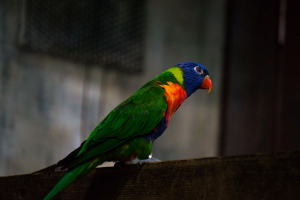 Tropen-Aquarium Hagenbeck