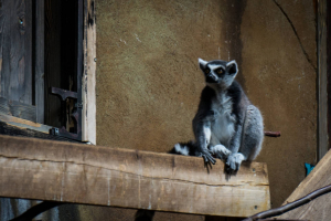 Tropen-Aquarium Hagenbeck