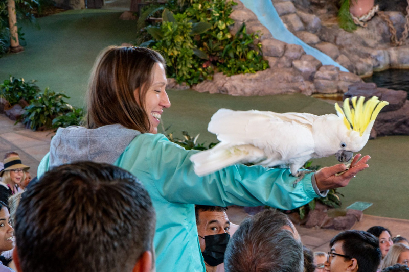Animal Actors On Location!