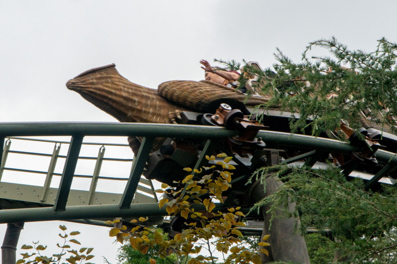 Flight of the Hippogriff