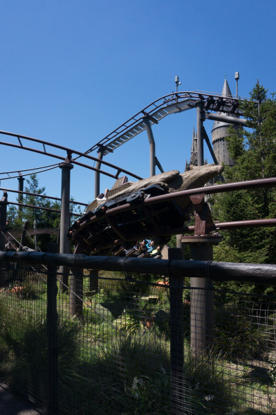 Flight of the Hippogriff
