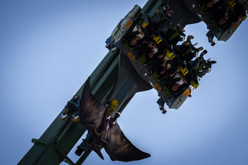 Flying Dinosaur