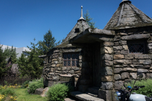 Flight of the Hippogriff