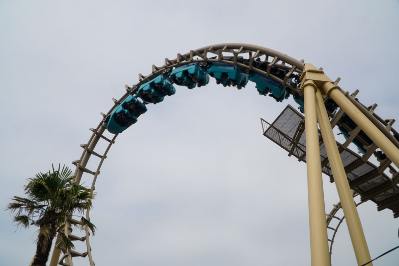 Cobra