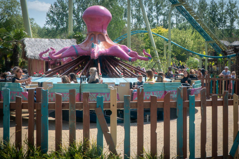 Octopus