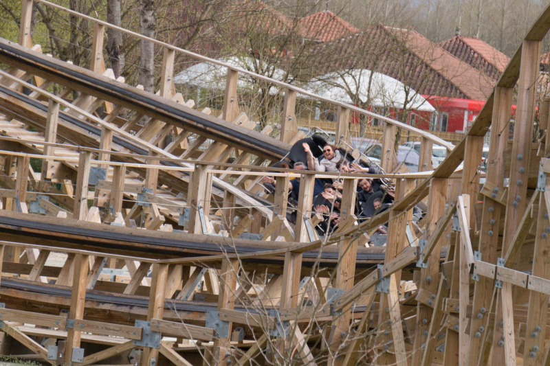 Timber!