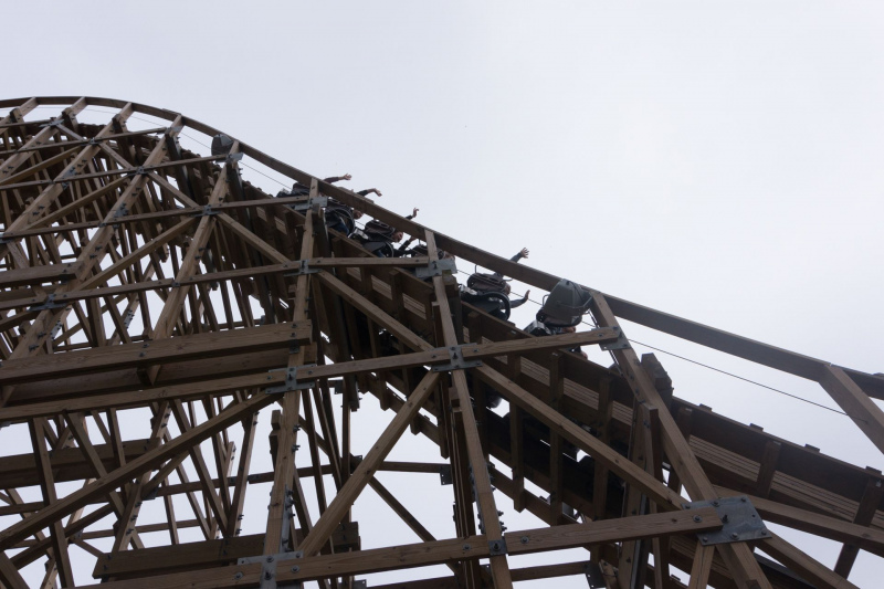 Timber!