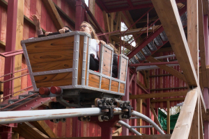 Woodstock Express