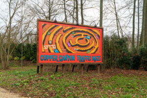Cars Road Trip