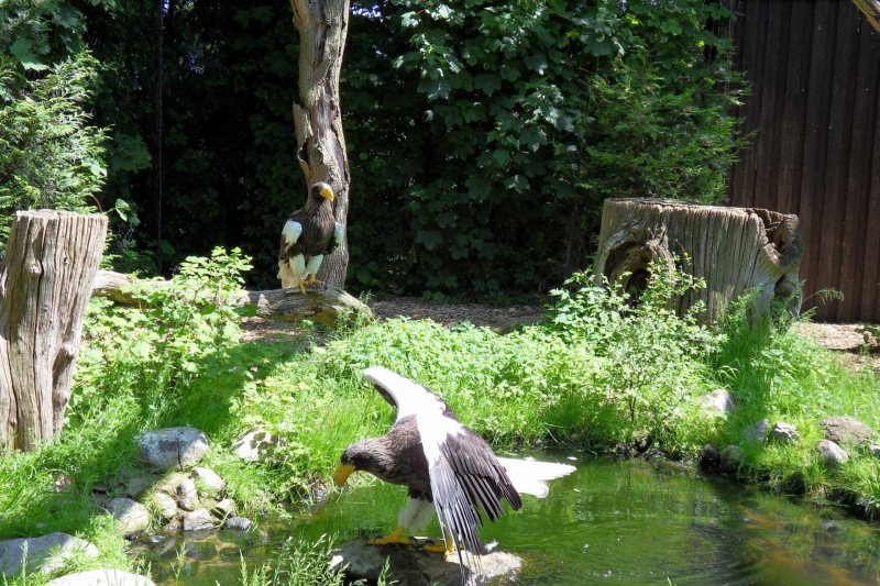 Weltvogelpark