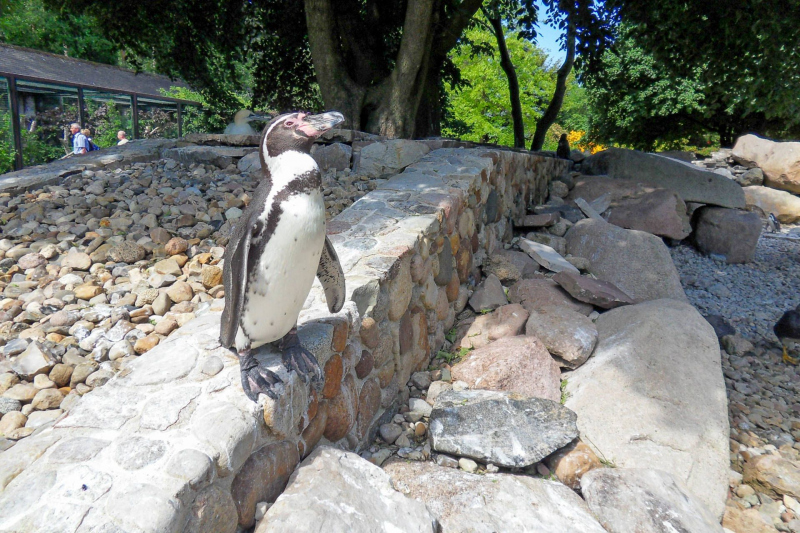 Weltvogelpark
