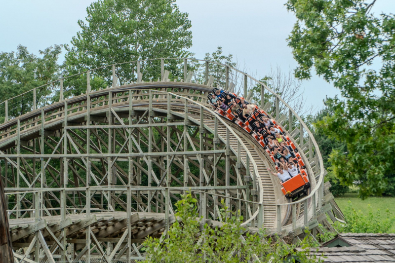 Timber Wolf