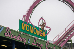 Momonga Standing and Loop Coaster