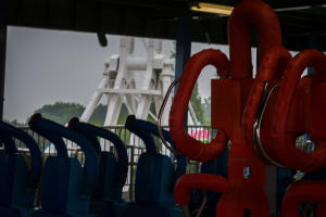 Momonga Standing and Loop Coaster